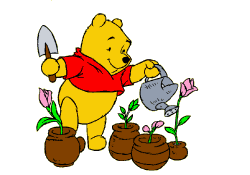 Grafika: Ogródki w słoiczkach