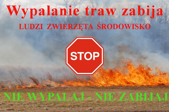 Grafika: Wiosenne wypalanie traw – zagrożenia z tym związane