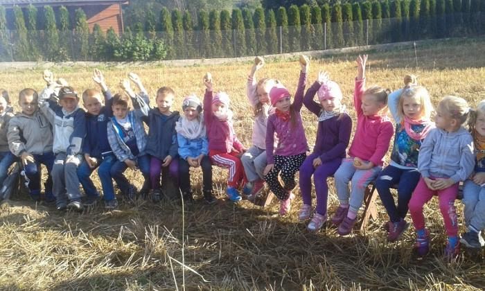 Grafika #0: Oddział Przedszkolny i klasa I świętują Dzień Pieczonego Ziemniaka 2015 r.