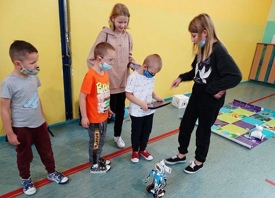 Uczniowie oglądają pokazy poszczególnych robotów.