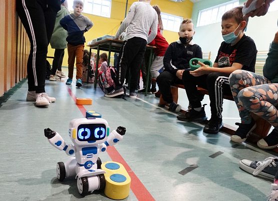 Uczniowie oglądają pokazy poszczególnych robotów.