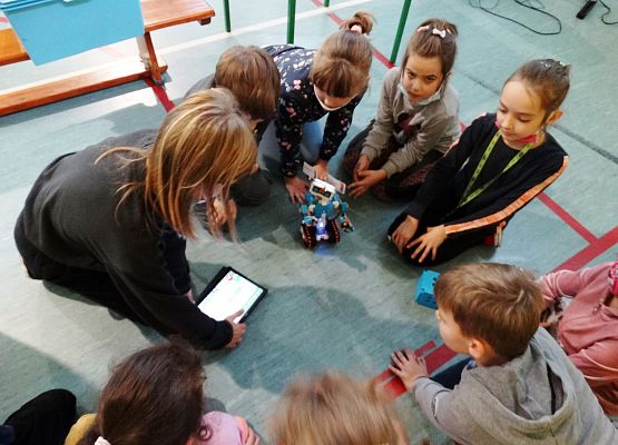 Uczniowie oglądają pokazy poszczególnych robotów.
