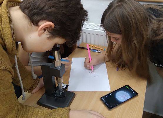 Lekcja biologii z mikroskopem w klasie piątej.
