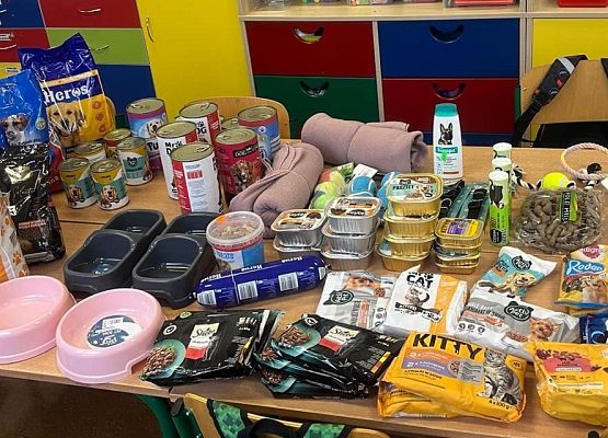 Zbiórka pokarmów dla zwierzaków w SP Redkowice.