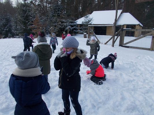 Grafika #4: Zabawy na śniegu