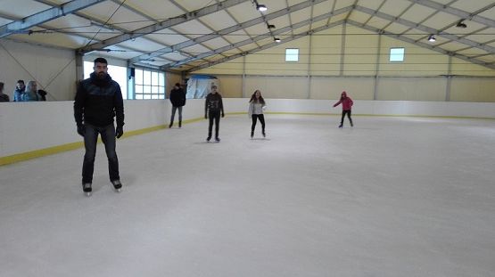 Grafika #2: Wycieczka na lodowisko