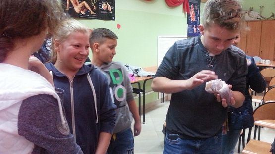  Grafika #5: IV Noc Naukowców pt. NERD NIGHT