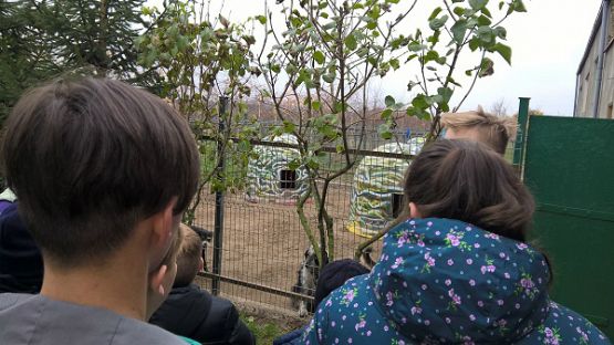 Grafika #9: Wycieczka do schroniska BAJER w Małoszycach