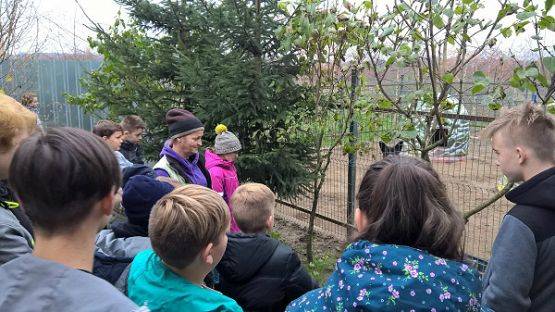 Grafika #10: Wycieczka do schroniska BAJER w Małoszycach