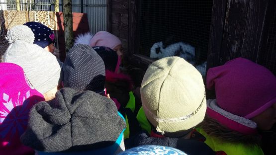 Grafika #1: Wizyta na cmentarzu w Lęborku oraz w schronisku dla zwierząt w Małoszycach