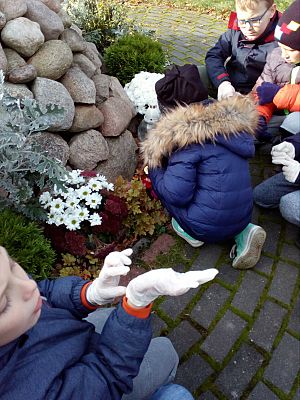  Grafika #8: Wizyta na cmentarzu w Redkowicach