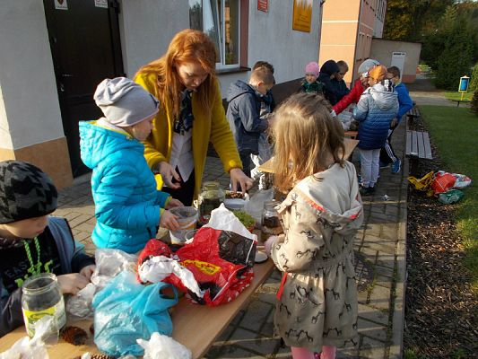  Grafika #1: Ogródki w słoiczkach