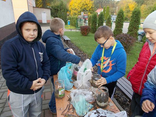  Grafika #3: Ogródki w słoiczkach