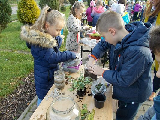  Grafika #4: Ogródki w słoiczkach