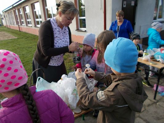  Grafika #5: Ogródki w słoiczkach