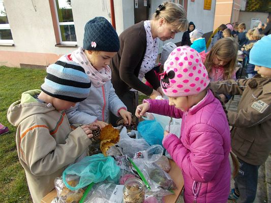  Grafika #6: Ogródki w słoiczkach