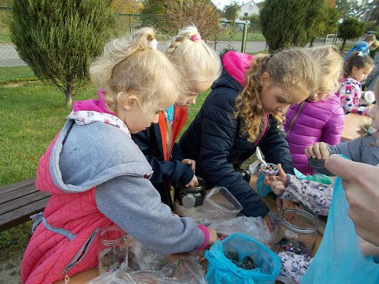  Grafika #7: Ogródki w słoiczkach