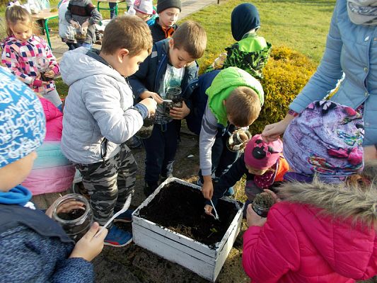  Grafika #8: Ogródki w słoiczkach