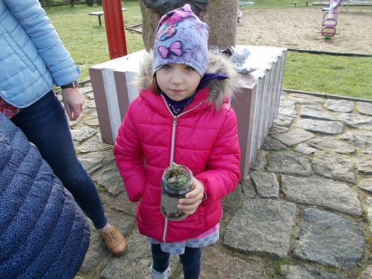  Grafika #9: Ogródki w słoiczkach