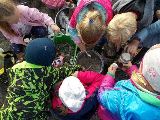  Grafika #11: Ogródki w słoiczkach