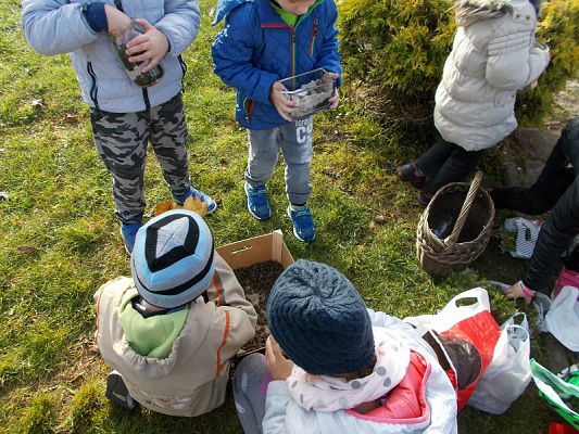  Grafika #13: Ogródki w słoiczkach