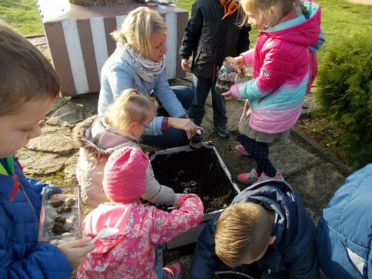  Grafika #15: Ogródki w słoiczkach