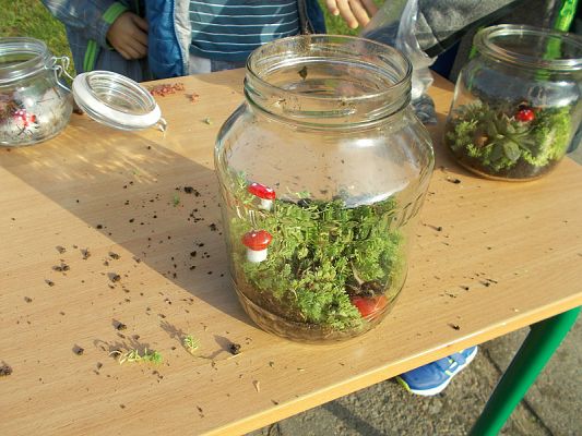  Grafika #16: Ogródki w słoiczkach