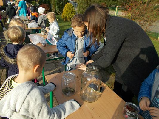  Grafika #18: Ogródki w słoiczkach