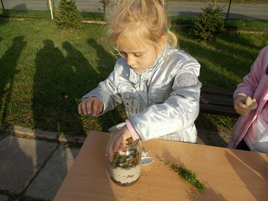  Grafika #19: Ogródki w słoiczkach