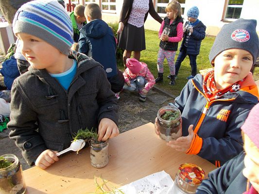  Grafika #20: Ogródki w słoiczkach