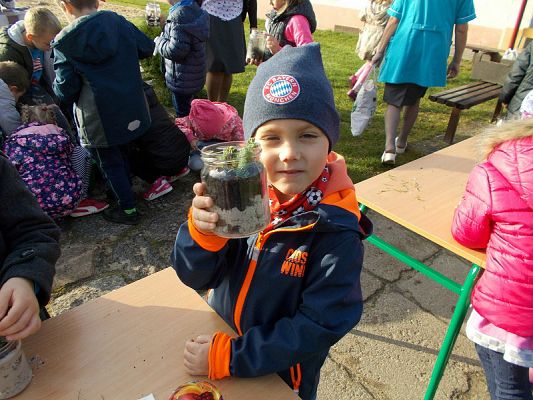  Grafika #21: Ogródki w słoiczkach