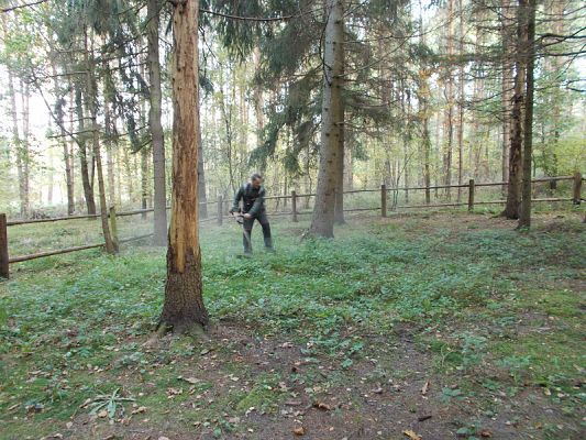  Grafika #2: Pamiętamy o poległych w czasie I wojny światowej