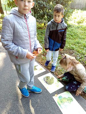 Grafika #1: Leśna galeria