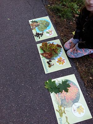 Grafika #6: Leśna galeria