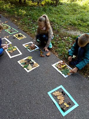 Grafika #9: Leśna galeria