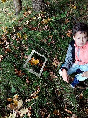 Grafika #11: Leśna galeria