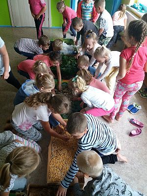  Grafika #0: Najmłodsi poznają świat zmysłami - ścieżka sensoryczna