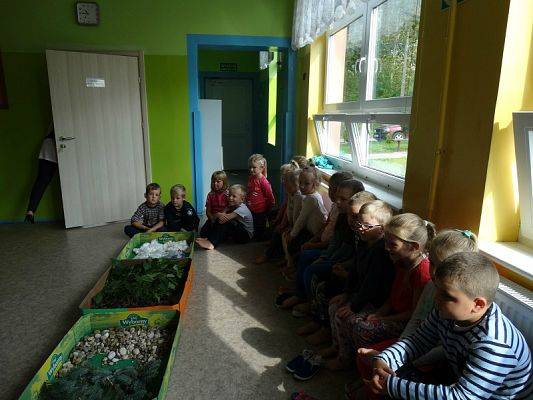  Grafika #9: Najmłodsi poznają świat zmysłami - ścieżka sensoryczna