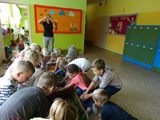  Grafika #12: Najmłodsi poznają świat zmysłami - ścieżka sensoryczna