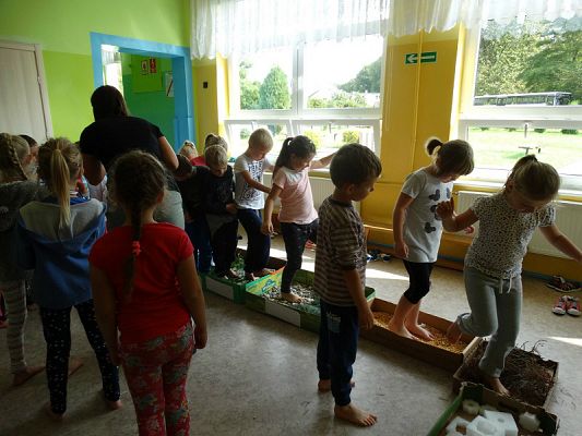  Grafika #17: Najmłodsi poznają świat zmysłami - ścieżka sensoryczna