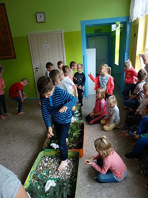  Grafika #25: Najmłodsi poznają świat zmysłami - ścieżka sensoryczna