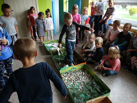  Grafika #28: Najmłodsi poznają świat zmysłami - ścieżka sensoryczna