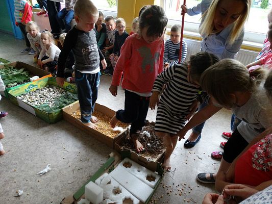  Grafika #29: Najmłodsi poznają świat zmysłami - ścieżka sensoryczna