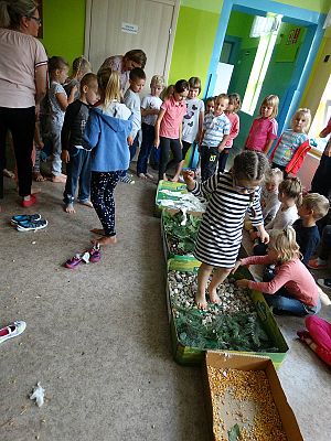  Grafika #32: Najmłodsi poznają świat zmysłami - ścieżka sensoryczna