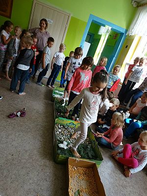  Grafika #33: Najmłodsi poznają świat zmysłami - ścieżka sensoryczna