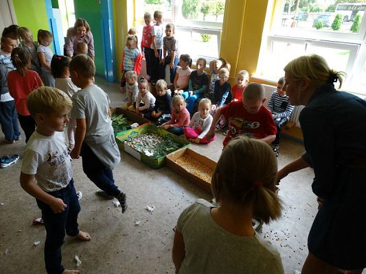  Grafika #35: Najmłodsi poznają świat zmysłami - ścieżka sensoryczna