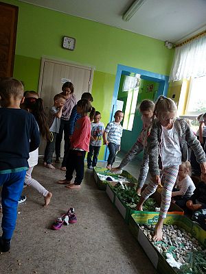  Grafika #36: Najmłodsi poznają świat zmysłami - ścieżka sensoryczna