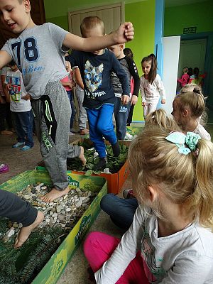  Grafika #40: Najmłodsi poznają świat zmysłami - ścieżka sensoryczna