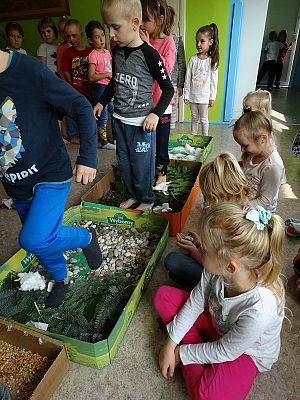  Grafika #41: Najmłodsi poznają świat zmysłami - ścieżka sensoryczna