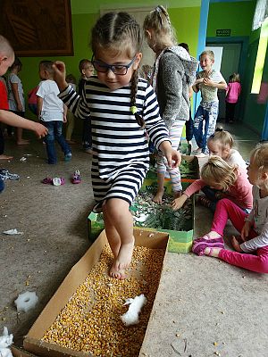  Grafika #45: Najmłodsi poznają świat zmysłami - ścieżka sensoryczna